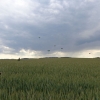 Parachute Jump Course083